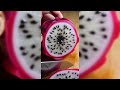 Cutting Every Crystal Fruit | Satisfying ASMR Macro