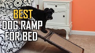 Top 5 Best Dog Ramps for Bed Review in 2023 | Lightweight/Portable/Sturdy Ramps