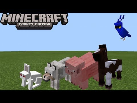 Vídeo: Como Domar Um Animal No Minecraft