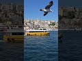 Seni Dert Etmeler