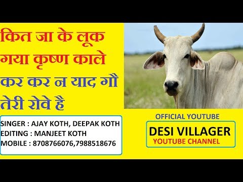 gau-mata-song-kar-kar-ke-ne-yaad-gau-teri-rove-gau-tene-toven-lagi-ho-ajay-koth-and-deepak-koth