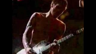 Red Hot Chili Peppers - Easily (Live)