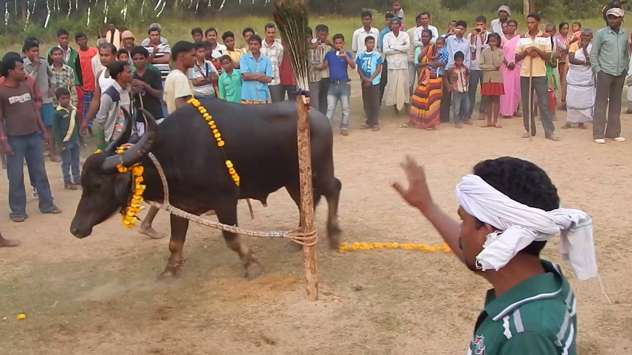 SOHRAI DANGRI KHUNTAW 2022  SOHRAY SANTALI DANGRI KHUNTAW