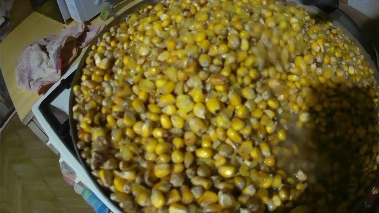 Рецепт пьяной кукурузы для рыбалки на сазана. Рецепт пьяной кукурузы для рыбалки на сазана. Ферментация кукурузы для рыбалки. Рецепт пьяной кукурузы для рыбалки на сазана. Рецепт пьяной кукурузы для рыбалки на сазана.