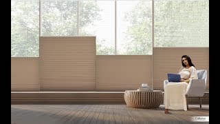 Callistus Colby Blinds
