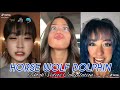 Horse, Wolf and Dolphin Face | Tiktok Compilations