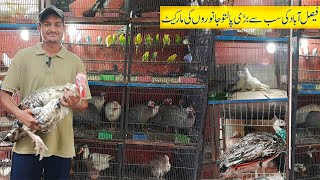 Bird market Faisalabad | birds ka rates ma kami | Jhang bazar Faisalabad