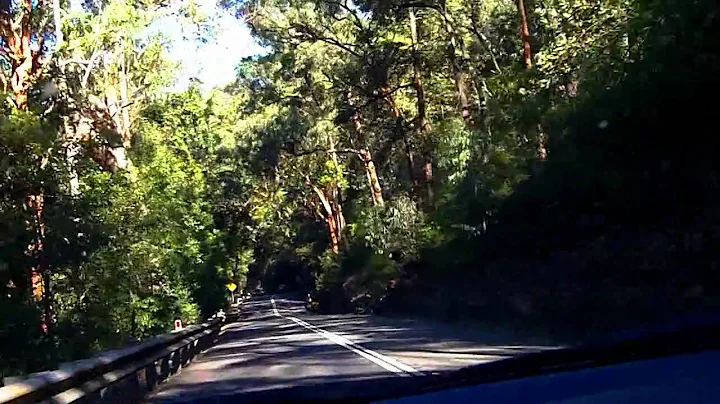Sydney's Best Driving Roads - Galston Gorge