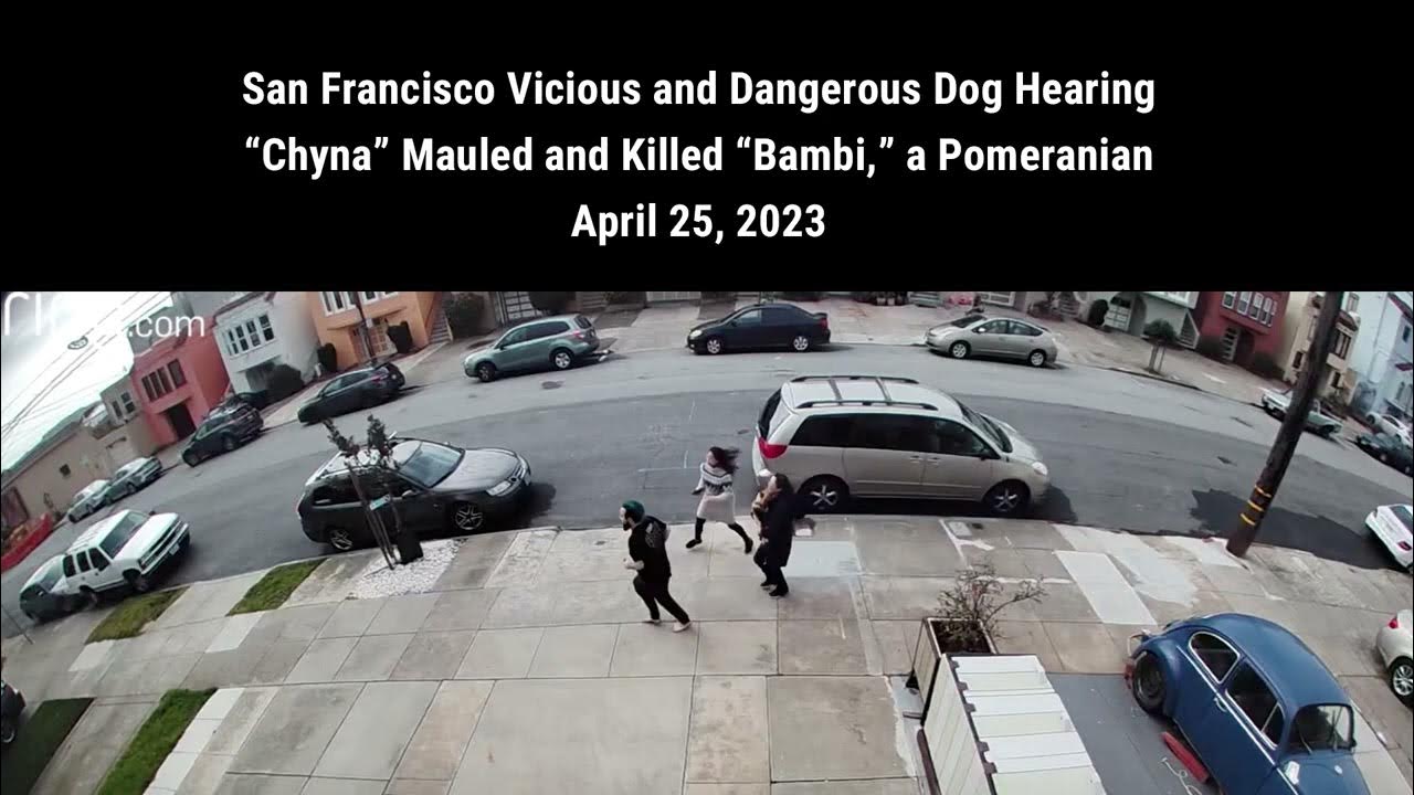 Parts of the Vicious and Dangerous Dog Hearing for "Chyna" Held in San