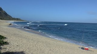 Hawaii 2015 Highlights