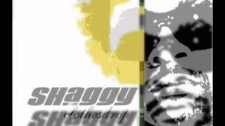 Shaggy & Olivia-Wild 2 Nite(Birchill Mix) Resimi