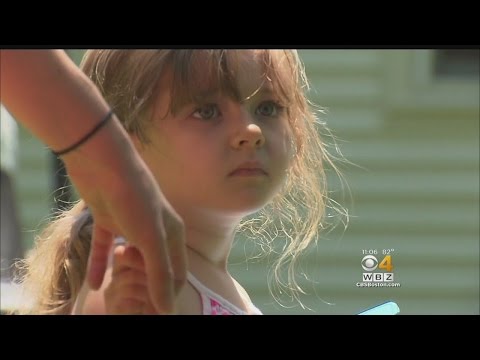 Mendon Girl Recovering From Black Widow Spider Bite