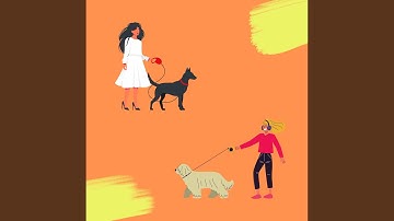 Remarkable Music for Lazy Doggo