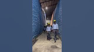 sugar 2 grade packet  small medium #igit