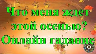 Что меня ждет этой осенью? Онлайн гадание. Что меня ждет этой осенью? Онлайн гадание.