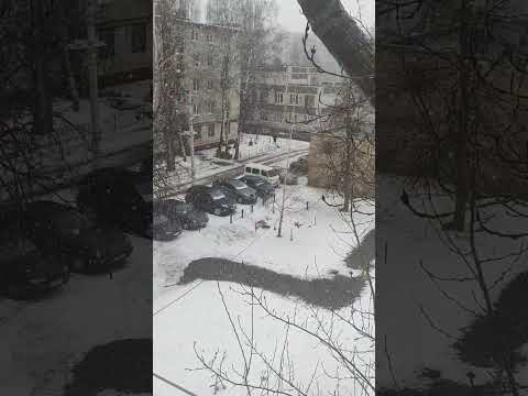 #0403 #снег #снегвесной