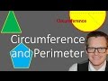 Circumference and Perimeter Quiz