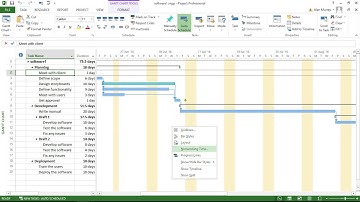 Show the Gridlines on Gantt Chart - MS Project