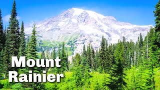 Best Things To Do In Mount Rainier National Park