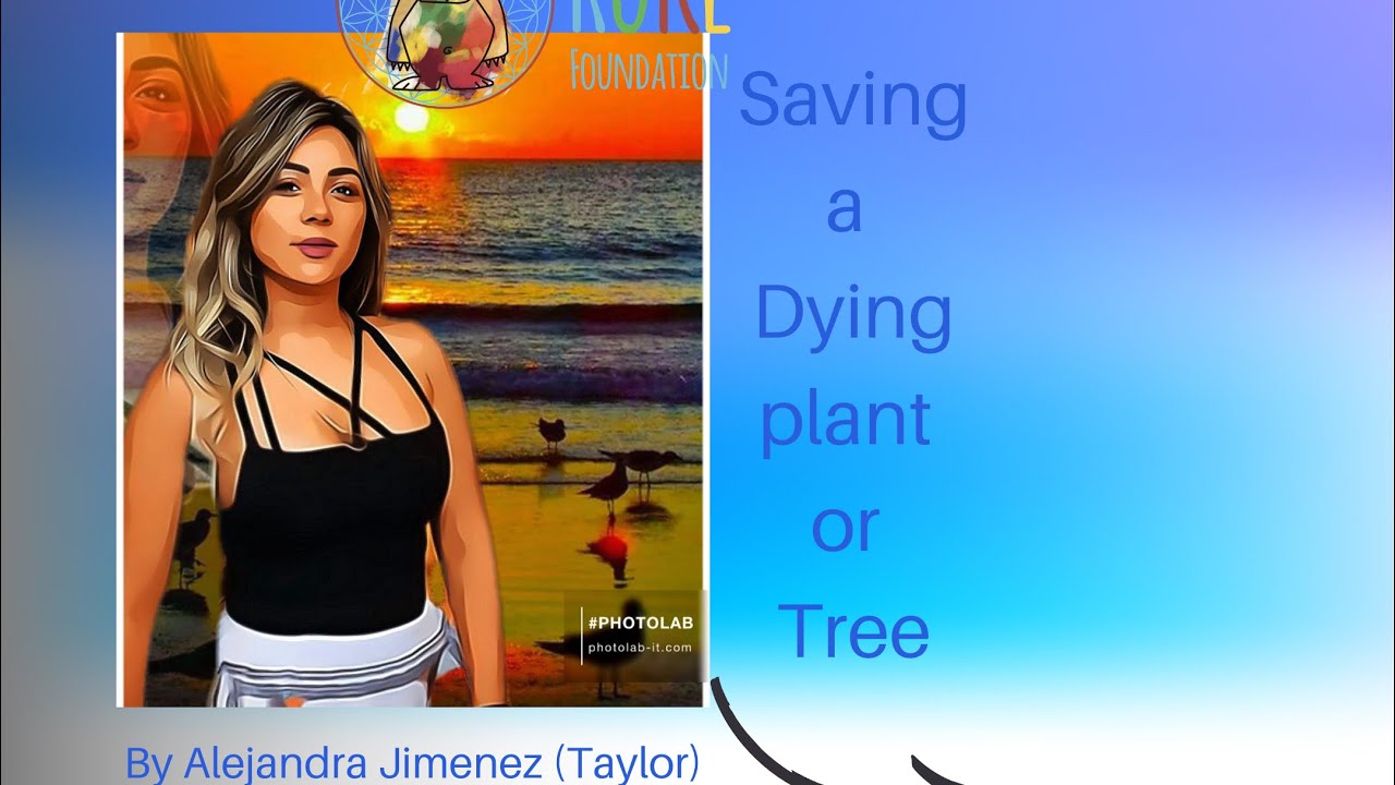 Saving a dying plant
