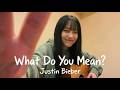 【弾き語り】What Do You Mean? / Justin Bieber を女性目線で答えてみた。Acoustic Cover by 白音碧