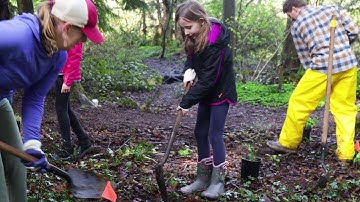Lynnwood Link Extension tree replacement plan