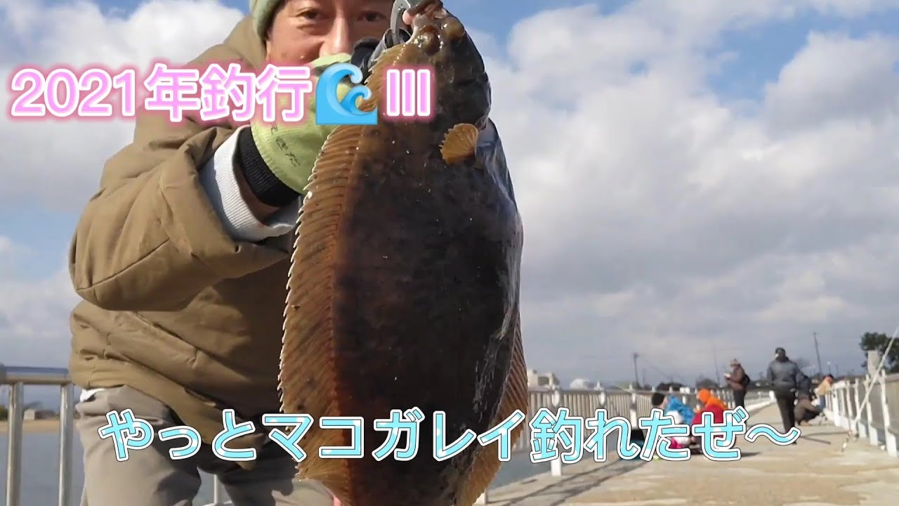 21年釣行 カレイ釣り 白子漁港 白子釣り桟橋 塩イソメ マコガレイ Youtube