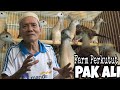 PETERNAKAN BURUNG PERKUTUT Pak Ali - Kalibata