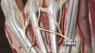Kfox14 Special Assignment The Science Of You