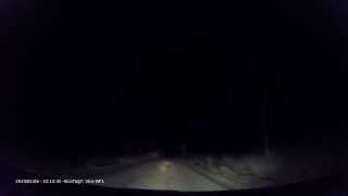 Traffic situation - little fox in the night (7)