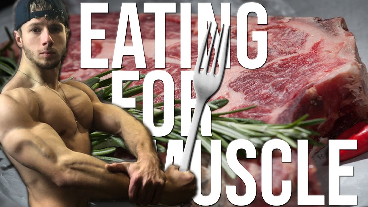 WHAT I EAT TO BUILD MUSCLE FULL DAY EATING & TRAINING YouTube