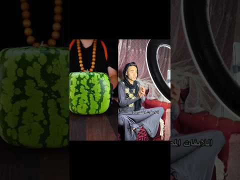 اللايفات المصرية احمد الاسطوره