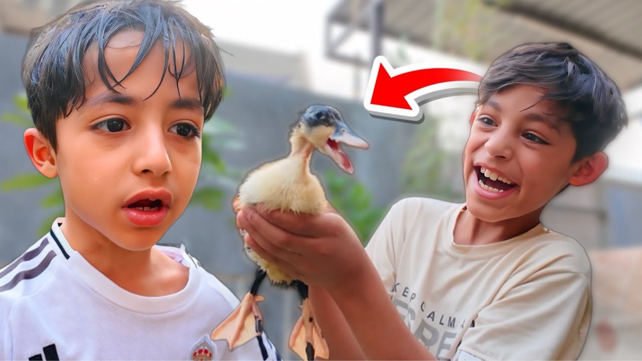 اكثر حيوان يحبه  🤩| سويت مفاجأ !😍