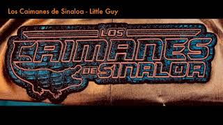 Miniatura del video "Los Caimanes de Sinaloa - Little Guy"