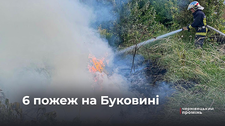 Горять сміттєзвалища та чагарники: на Буковині трапилось 6 пожеж
