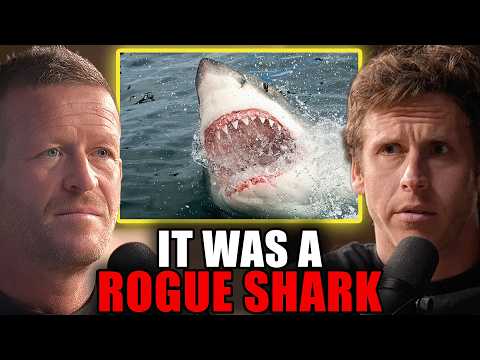 "I've Been Hit by a Whale": A Diver's Great White Attack | Andy Casagrande