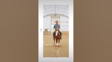 Your struggle and your situation are hardly unique.#REINING #HORSES #HORSETRAINING