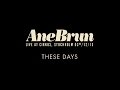 Ane Brun "These Days - Live"