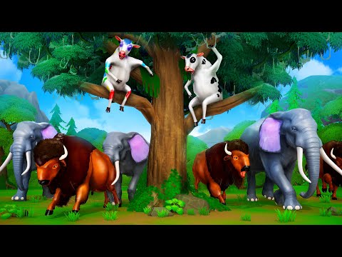 Crazy Cows Fun Play with Forest Animals - Funny Cow Cartoon Videos