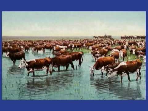 Cattle Barons