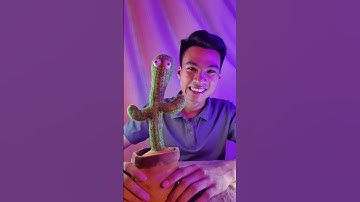 Bên trong cây sương rồng nhảy múa này có gì nhỉ ? tháo thử ra xem bên trong có gì nào