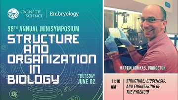 Dr. Martin Jonikas: Structure, Biogenesis, & Engineering of the Pyrenoid