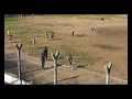 8VA DIV DEFE VILLA PRIMER TIEMPO