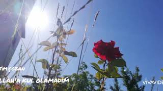 Allaha Kul Olamadım