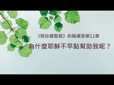 約翰福音11章/陪你讀聖經《為什麼耶穌不早點幫助我呢？》