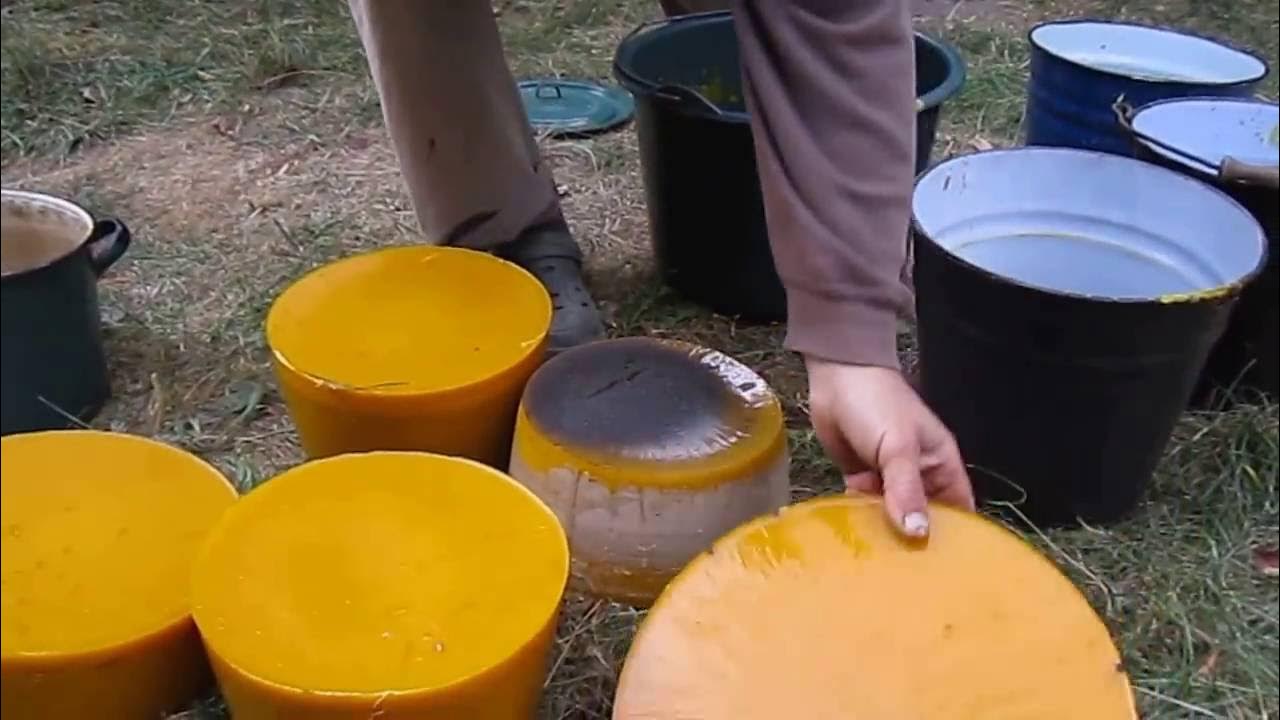 Перетопка пчелиного воска. Как перетопка сот. Перетопка соторамок супер воскотопка планета меда. Переплавленный воск в воскотопке. Способы перетопки старых сот.