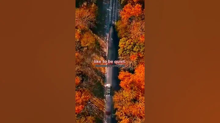 Introvert Vibes: Why I Love Being Quiet😇 #shorts #quotes