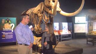 Preview Look Inside Mammoths And Mastodons Titans Of The Ice Age Exhibit