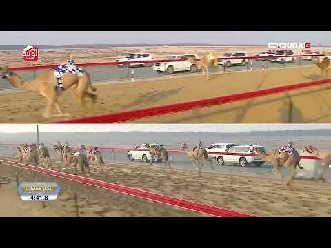 ش 9 غازية لـ حميد حران حمد حميدان 7 34 6 تمهيدي المرموم 2025 12 27 لقايا 