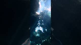 Mythical creatures according to Ai #shorts #ai #chatgpt #mermaids